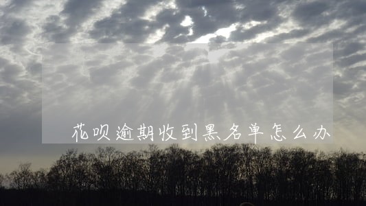 花呗逾期收到黑名单怎么办 花呗逾期收到黑名单怎么办