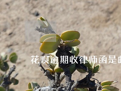 花呗逾期收律师函是邮政发的吗 花呗逾期收律师函是邮政发的吗
