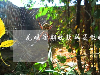 花呗逾期收款码还能收到钱吗 花呗逾期收款码还能收到钱吗