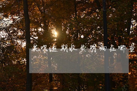 花呗逾期收费明细在哪查看 花呗逾期收费明细在哪查看