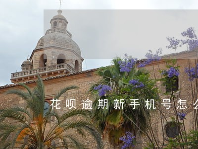 花呗逾期新手机号怎么开通花呗 花呗逾期新手机号怎么开通花呗