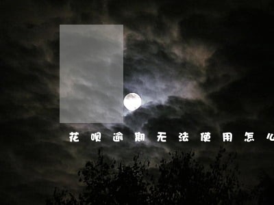 花呗逾期无法使用怎么修复 花呗逾期无法使用怎么修复