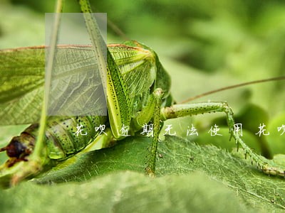 花呗逾期无法使用花呗多久恢复 花呗逾期无法使用花呗多久恢复