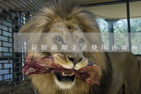 花呗逾期无法使用还能恢复吗 花呗逾期无法使用还能恢复吗