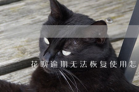 花呗逾期无法恢复使用怎么办 花呗逾期无法恢复使用怎么办