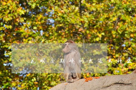 花呗逾期时间太长为什么不能还款