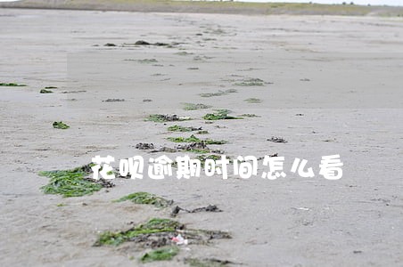 花呗逾期时间怎么看 花呗逾期时间怎么看