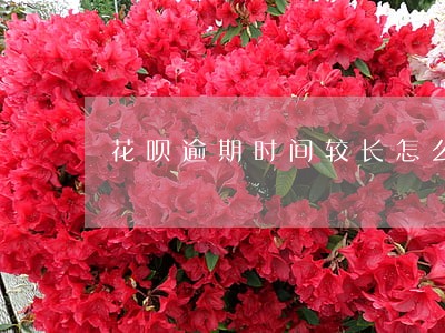 花呗逾期时间较长怎么办 花呗逾期时间较长怎么办