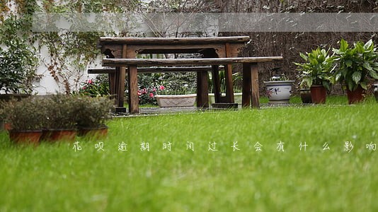 花呗逾期时间过长会有什么影响