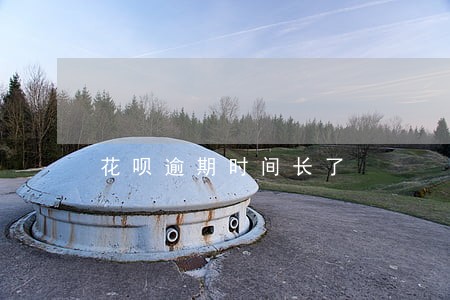 花呗逾期时间长了