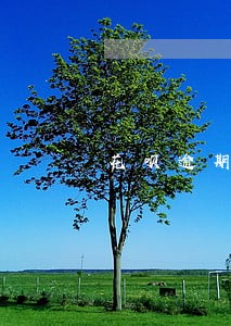花呗逾期时间长了能不能免点利息 花呗逾期时间长了能不能免点利息