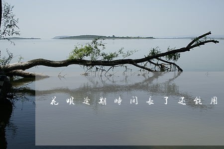 花呗逾期时间长了还能用吗 花呗逾期时间长了还能用吗