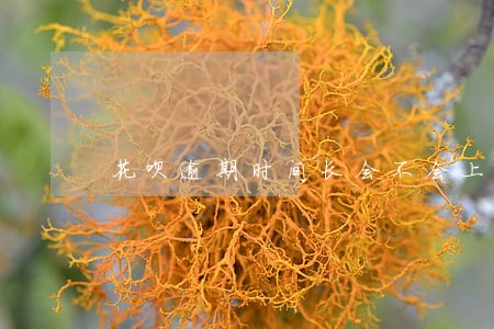 花呗逾期时间长会不会上征信最新