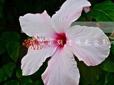 花呗逾期时间长会影响征信吗 花呗逾期时间长会影响征信吗