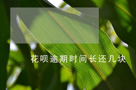 花呗逾期时间长还几块