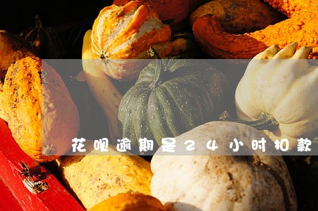 花呗逾期是24小时扣款么 花呗逾期是24小时扣款么