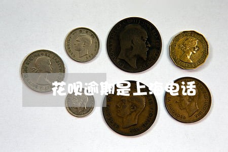 花呗逾期是上海电话 花呗逾期是上海电话