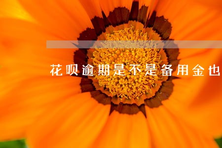 花呗逾期是不是备用金也不能用了 花呗逾期是不是备用金也不能用了