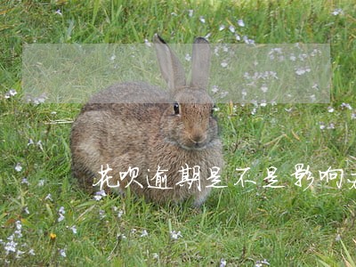 花呗逾期是不是影响办信用卡 花呗逾期是不是影响办信用卡