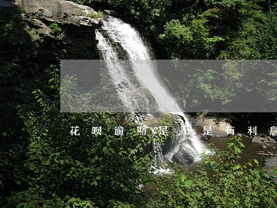 花呗逾期是不是有利息 花呗逾期是不是有利息