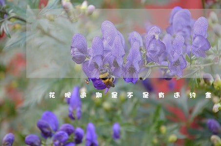 花呗逾期是不是有违约金 花呗逾期是不是有违约金