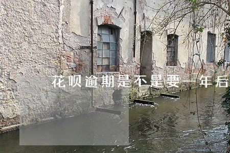 花呗逾期是不是要一年后解封 花呗逾期是不是要一年后解封