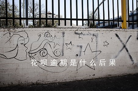 花呗逾期是什么后果 花呗逾期是什么后果