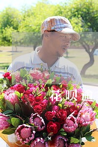 花呗逾期是什么样的图片 花呗逾期是什么样的图片