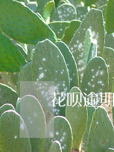 花呗逾期是什么电话催收