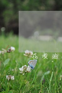 花呗逾期是否恢复 花呗逾期是否恢复