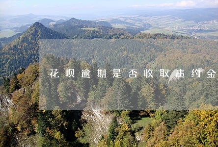 花呗逾期是否收取违约金 花呗逾期是否收取违约金