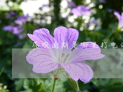 花呗逾期是哪里打电话催还款的 花呗逾期是哪里打电话催还款的