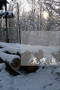 花呗逾期是如何算利息