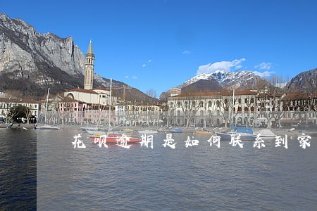 花呗逾期是如何联系到家人的 花呗逾期是如何联系到家人的