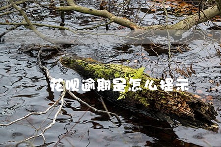 花呗逾期是怎么提示