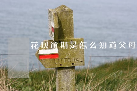 花呗逾期是怎么知道父母电话的 花呗逾期是怎么知道父母电话的