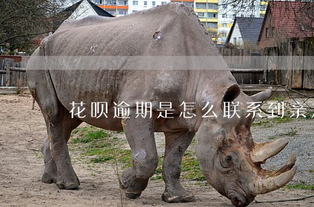 花呗逾期是怎么联系到亲友的 花呗逾期是怎么联系到亲友的