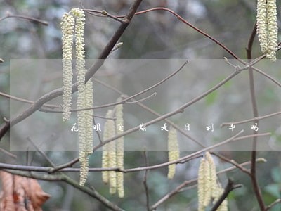 花呗逾期是日利率吗 花呗逾期是日利率吗