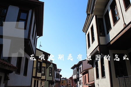 花呗逾期是有原因的怎么解决 花呗逾期是有原因的怎么解决