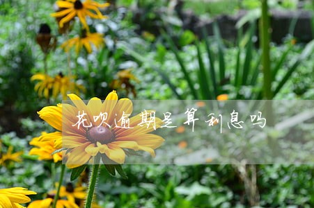 花呗逾期是算利息吗 花呗逾期是算利息吗