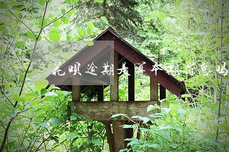 花呗逾期是算本期罚息吗