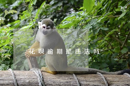 花呗逾期是违法吗 花呗逾期是违法吗