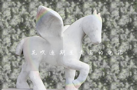 花呗逾期是青岛的电话