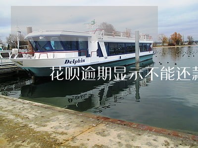 花呗逾期显示不能还款