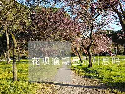 花呗逾期显示利息吗 花呗逾期显示利息吗