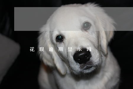 花呗逾期显示吗 花呗逾期显示吗