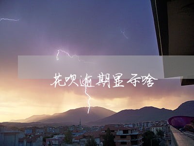 花呗逾期显示啥