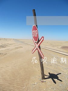 花呗逾期显示已处理保存多久 花呗逾期显示已处理保存多久