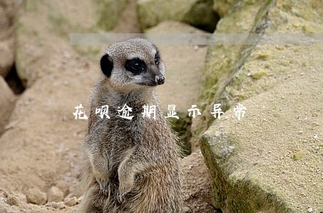 花呗逾期显示异常 花呗逾期显示异常