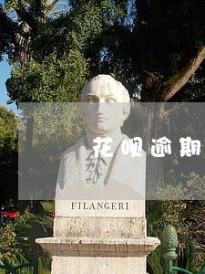 花呗逾期显示无法使用购物 花呗逾期显示无法使用购物